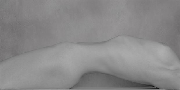 torso artistic nude photo print by photographer andyd10