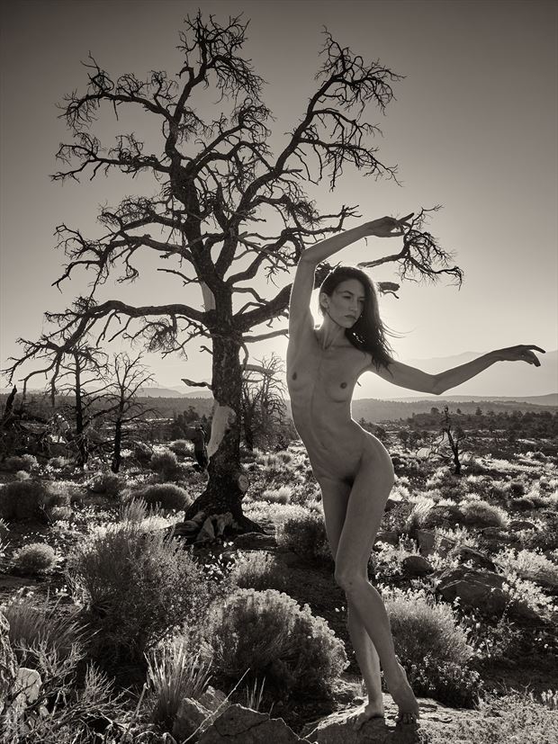 venus and the burned tree artistic nude photo print by photographer james landon johnson