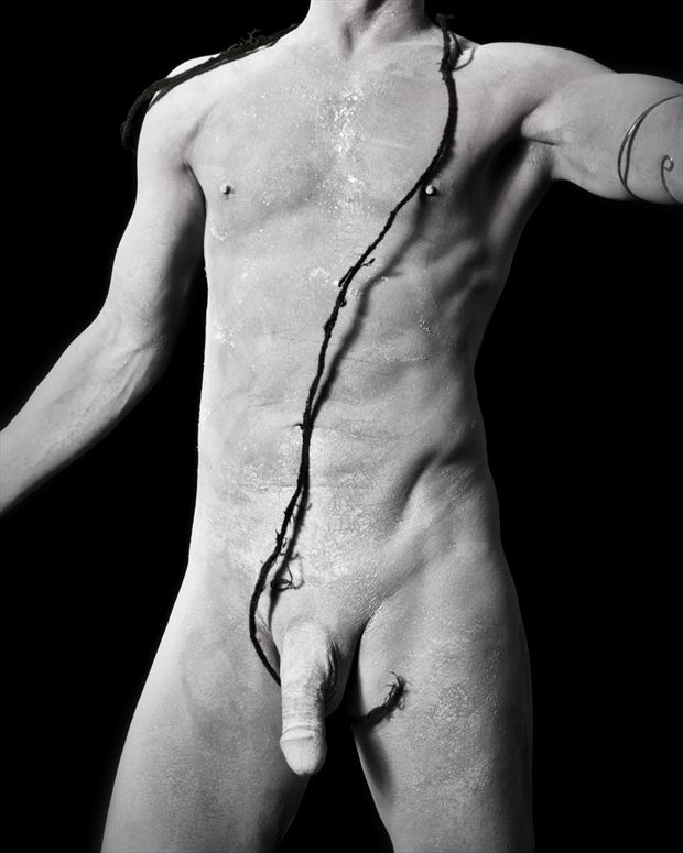 viney statue artistic nude photo print by model avid light