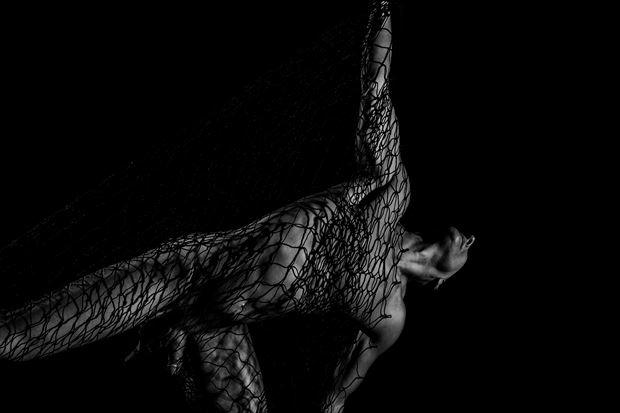 web of deceit artistic nude photo print by model avid light